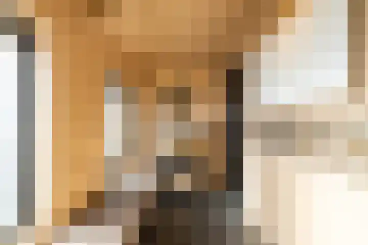 Reddingiusstraat 4 Ten Boer thumbnail 28