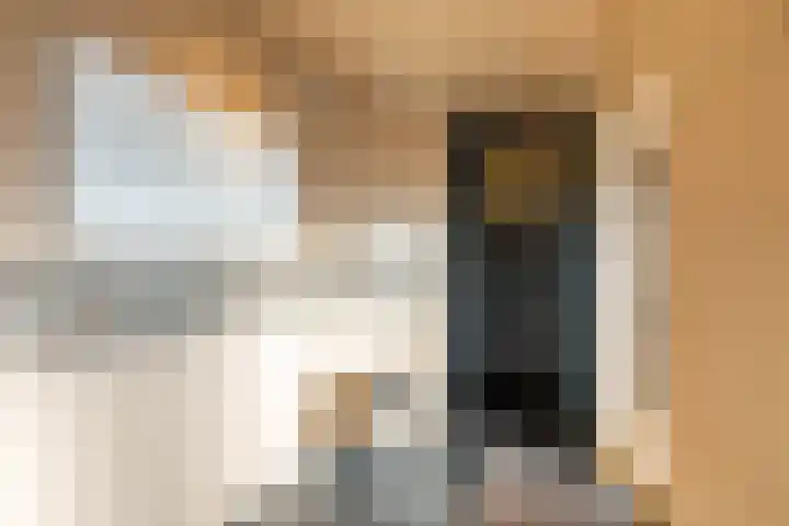 Reddingiusstraat 4 Ten Boer thumbnail 30