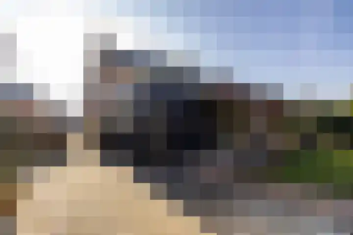 Reddingiusstraat 4 Ten Boer thumbnail 39