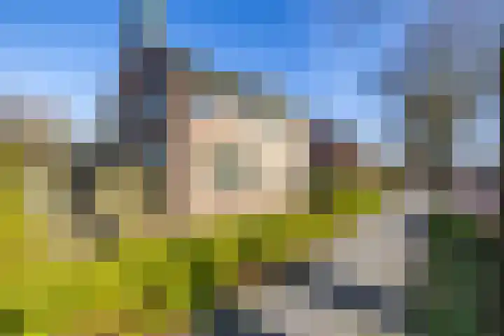 Reddingiusstraat 4 Ten Boer thumbnail 4
