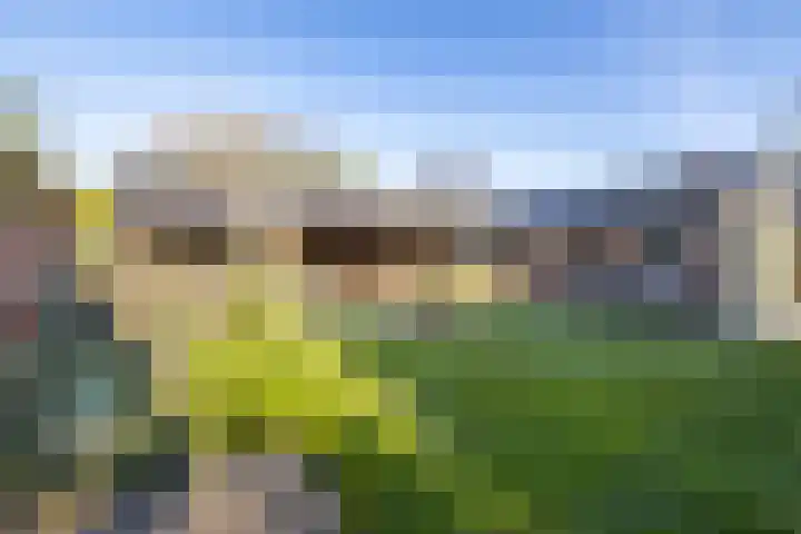 Reddingiusstraat 4 Ten Boer thumbnail 41