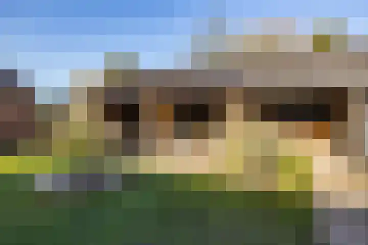 Reddingiusstraat 4 Ten Boer thumbnail 42