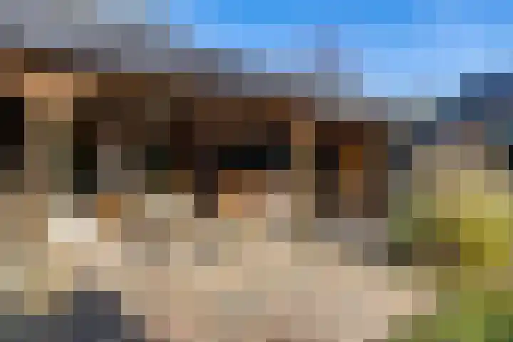 Reddingiusstraat 4 Ten Boer thumbnail 43