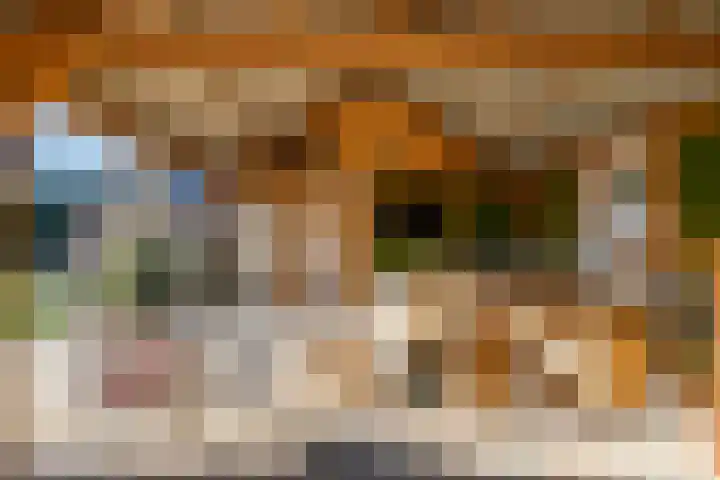 Reddingiusstraat 4 Ten Boer thumbnail 49