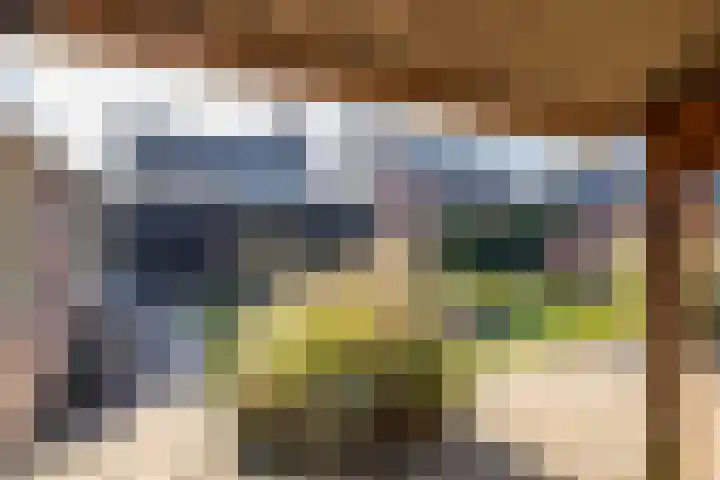 Reddingiusstraat 4 Ten Boer thumbnail 51