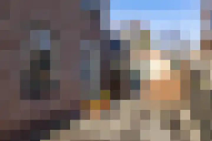 Reddingiusstraat 4 Ten Boer thumbnail 7