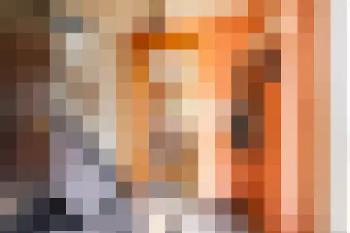 Reddingiusstraat 4 Ten Boer thumbnail 8