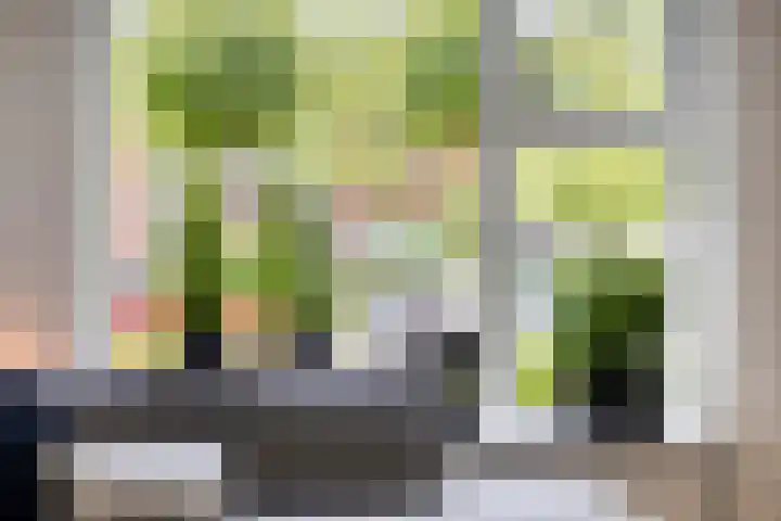 Reddingiusweg 79 Groningen thumbnail 12