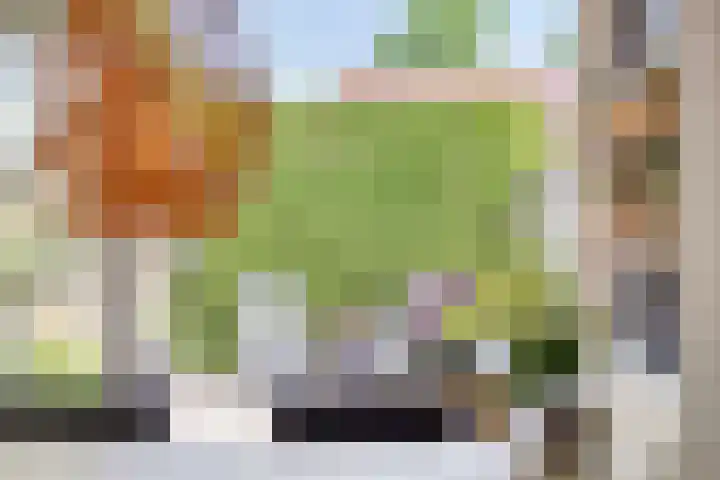 Reddingiusweg 79 Groningen thumbnail 15