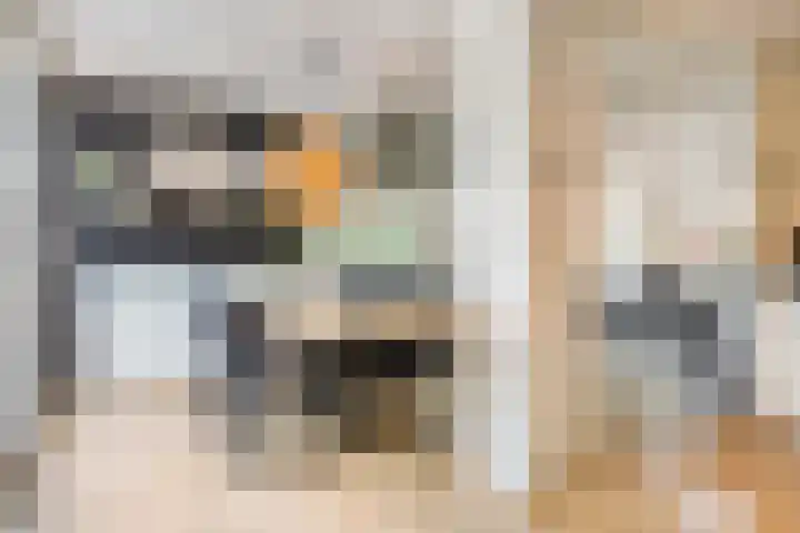 Reddingiusweg 79 Groningen thumbnail 16
