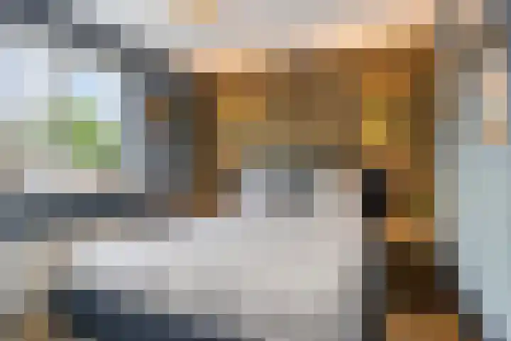 Reddingiusweg 79 Groningen thumbnail 24