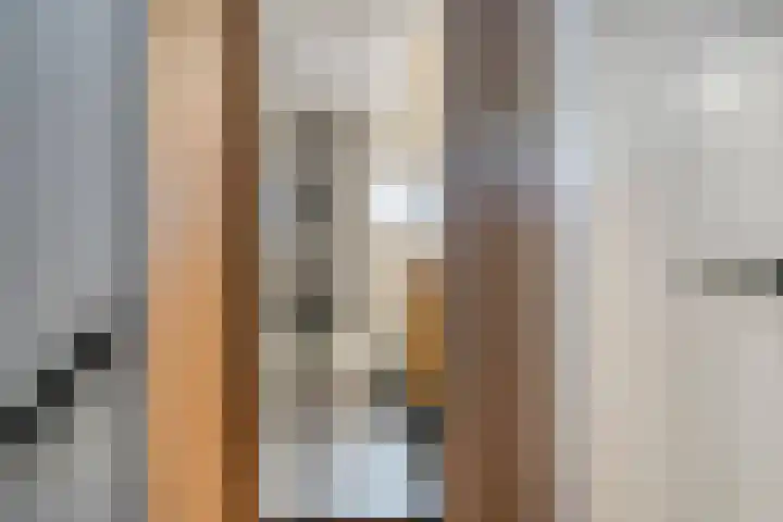 Reddingiusweg 79 Groningen thumbnail 30