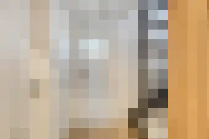 Reddingiusweg 79 Groningen thumbnail 34