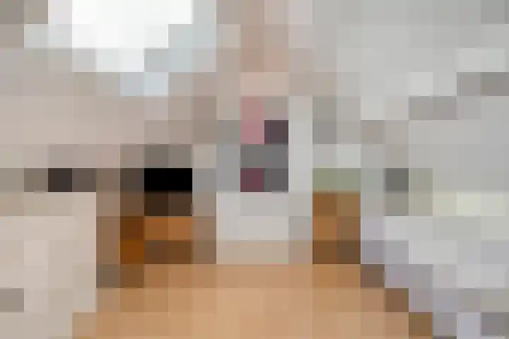 Reddingiusweg 79 Groningen thumbnail 38