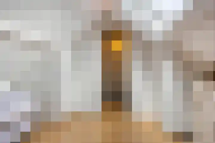 Reddingiusweg 79 Groningen thumbnail 39