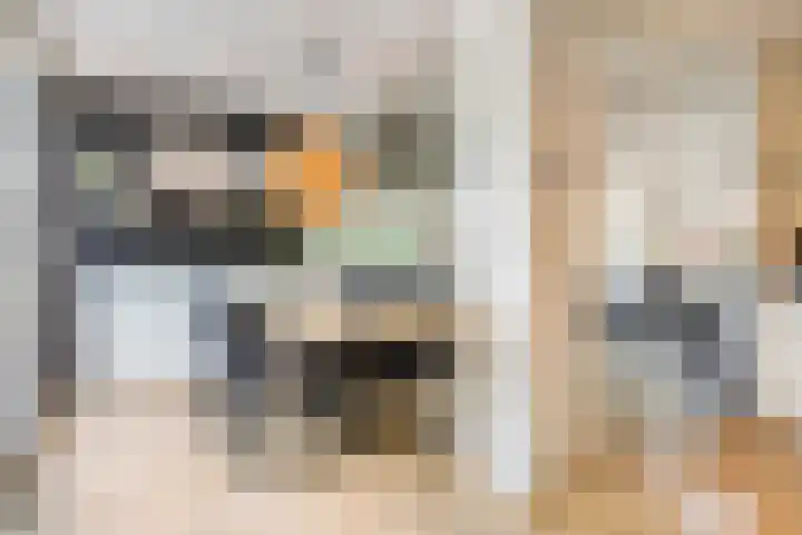 Reddingiusweg 79 Groningen thumbnail 4