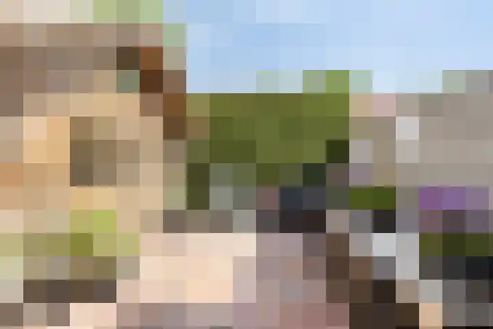 Reddingiusweg 79 Groningen thumbnail 40