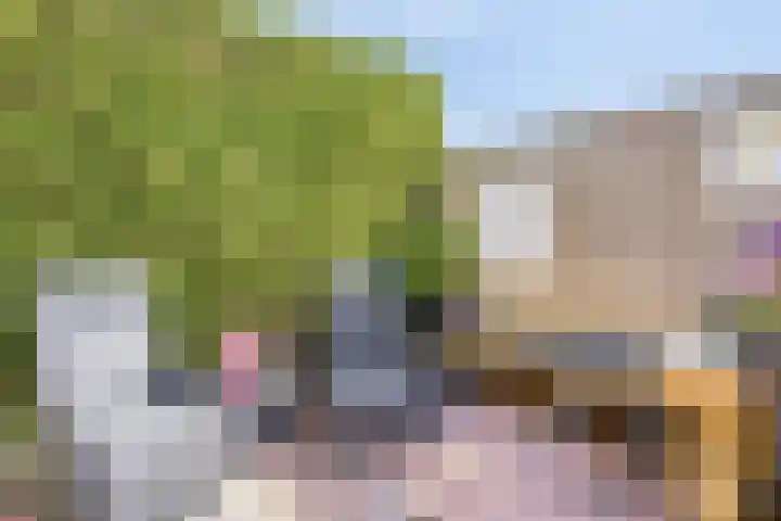 Reddingiusweg 79 Groningen thumbnail 41