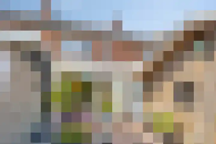 Reddingiusweg 79 Groningen thumbnail 43