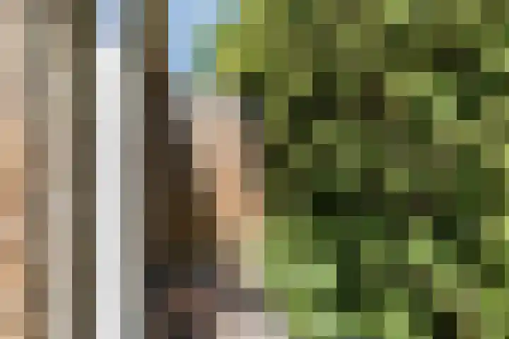 Reddingiusweg 79 Groningen thumbnail 44