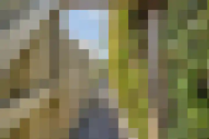 Reddingiusweg 79 Groningen thumbnail 45