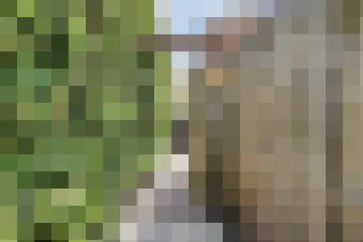 Reddingiusweg 79 Groningen thumbnail 46