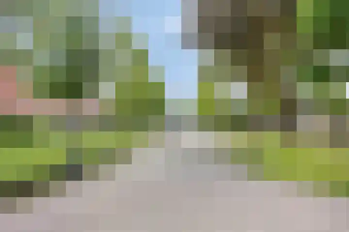Reddingiusweg 79 Groningen thumbnail 48