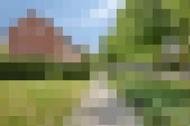 Reddingiusweg 79 Groningen thumbnail 49