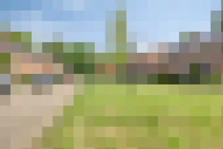 Reddingiusweg 79 Groningen thumbnail 50