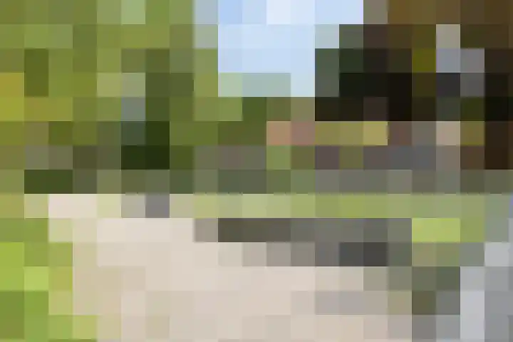 Reddingiusweg 79 Groningen thumbnail 51