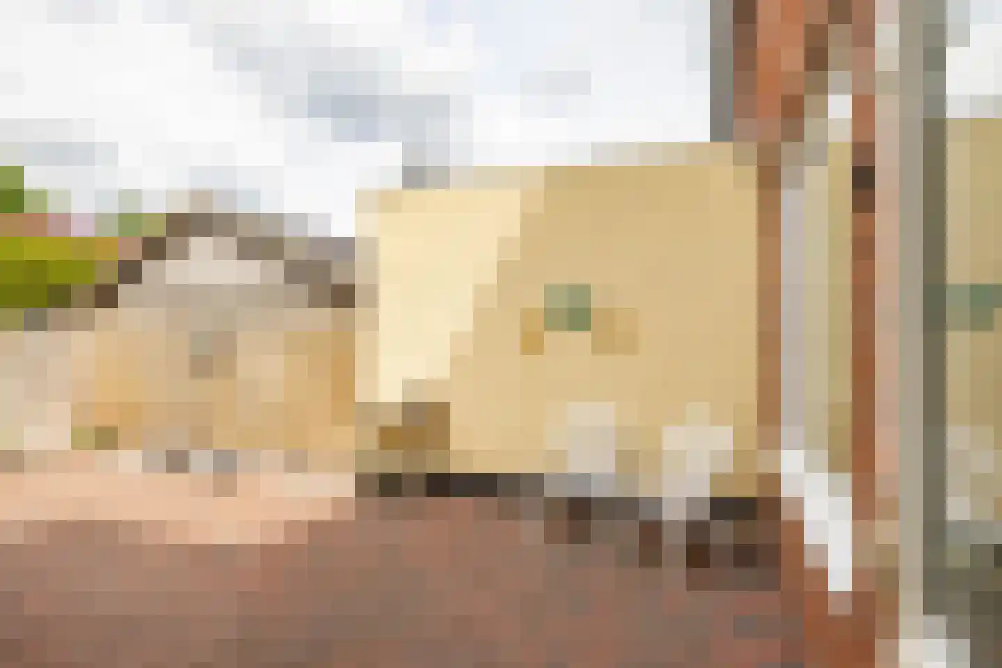 Reddingiusweg 81 Groningen thumbnail 22