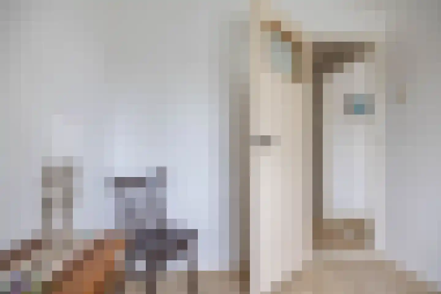 Reddingiusweg 81 Groningen thumbnail 33