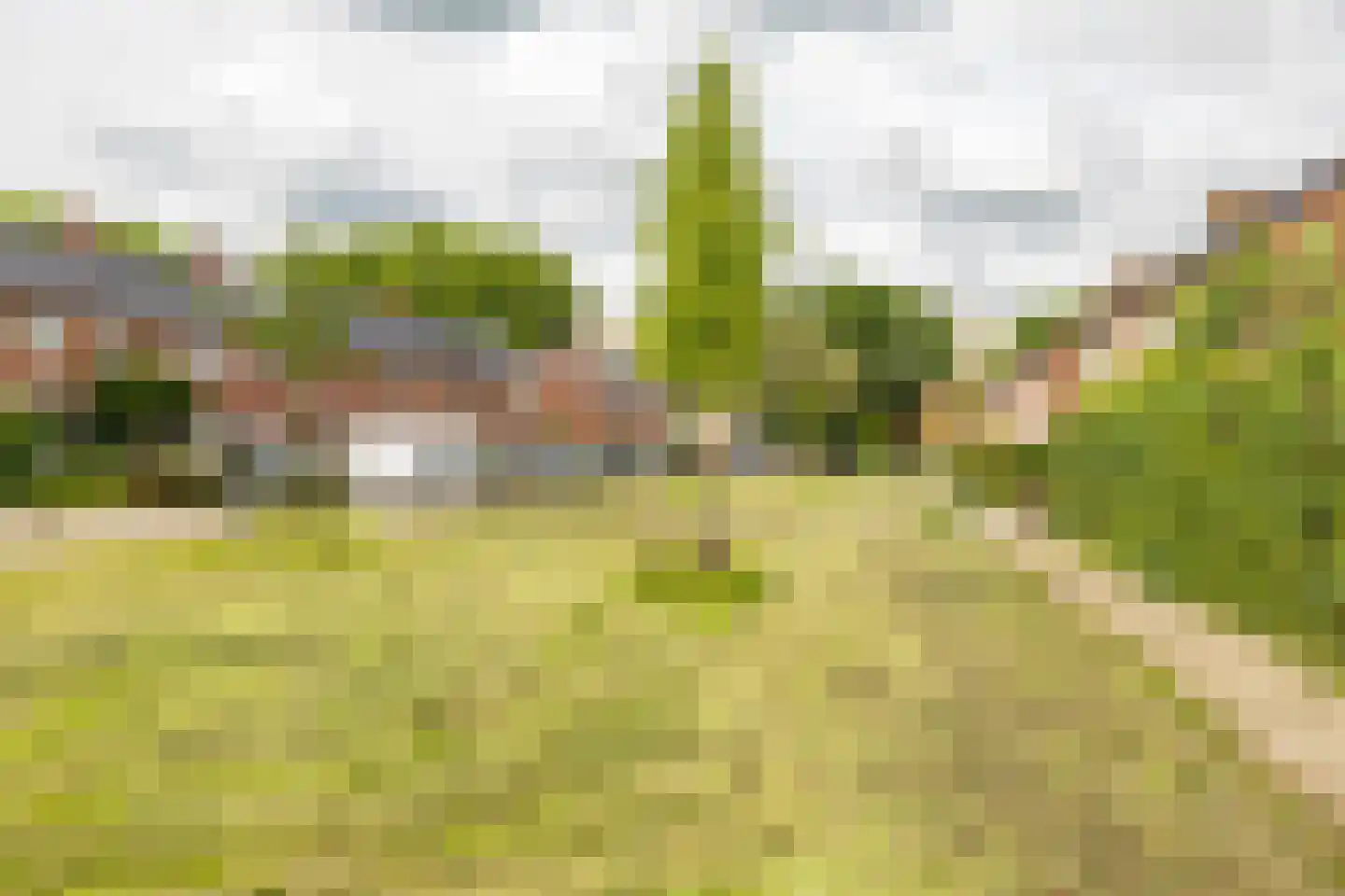 Reddingiusweg 81 Groningen thumbnail 5