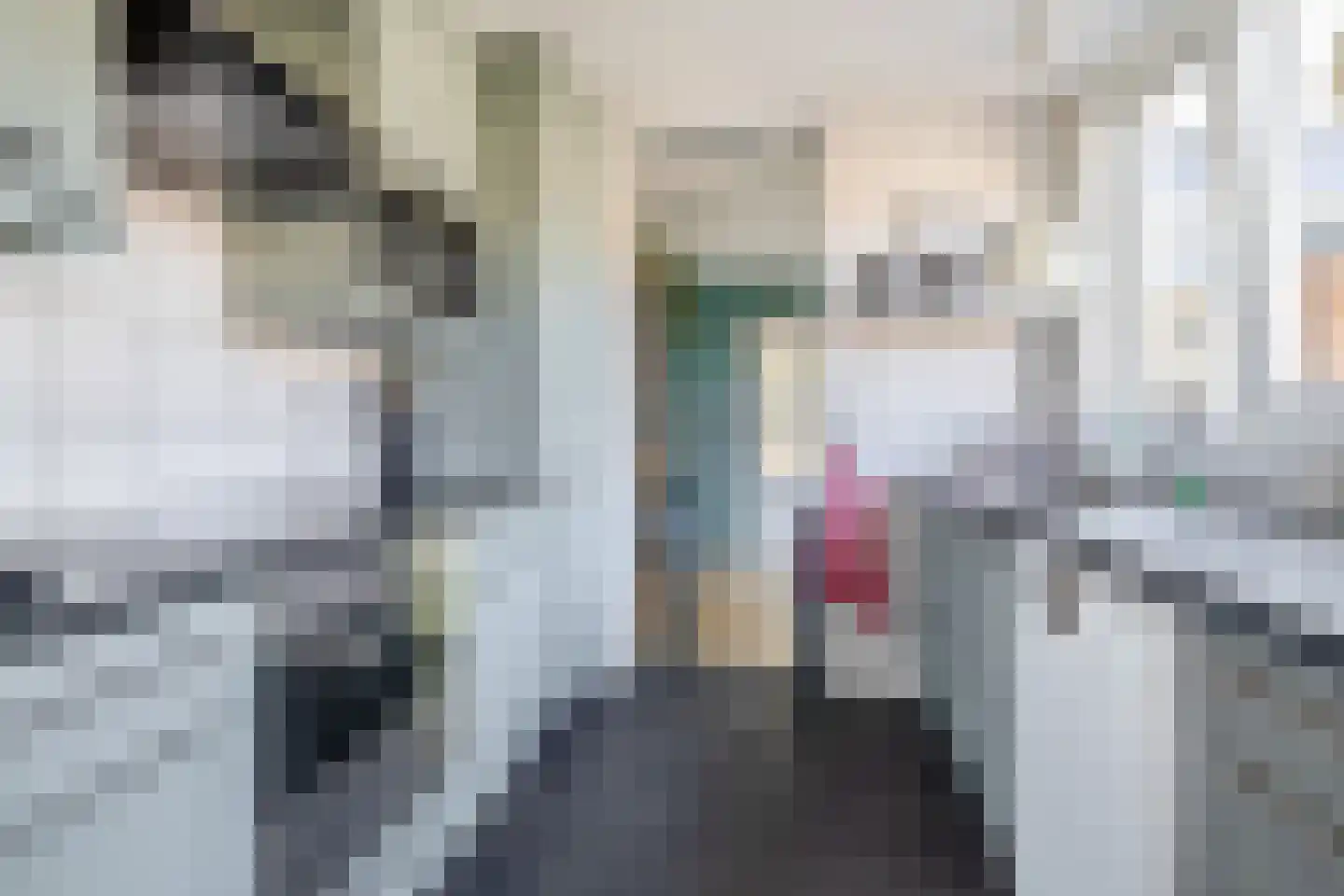 Reddingiusweg 95 Groningen thumbnail 11