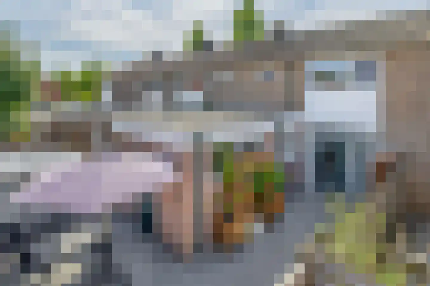Reddingiusweg 95 Groningen thumbnail 18