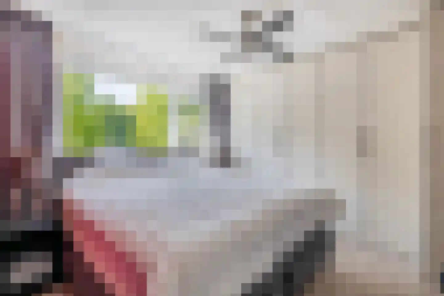 Reddingiusweg 95 Groningen thumbnail 19