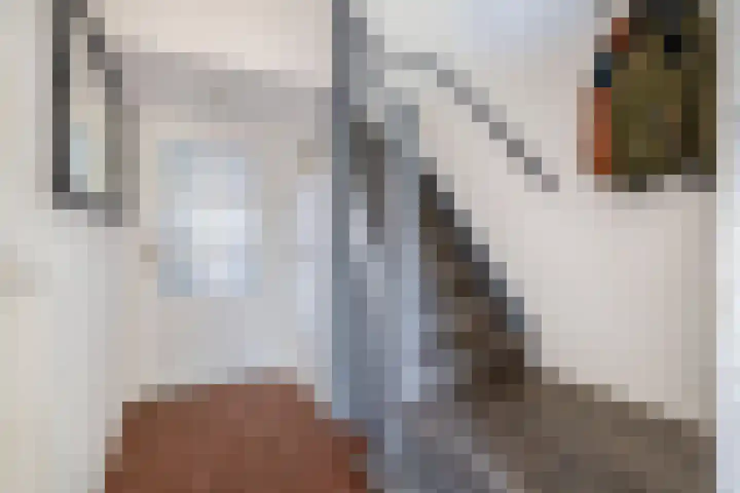 Reddingiusweg 95 Groningen thumbnail 30
