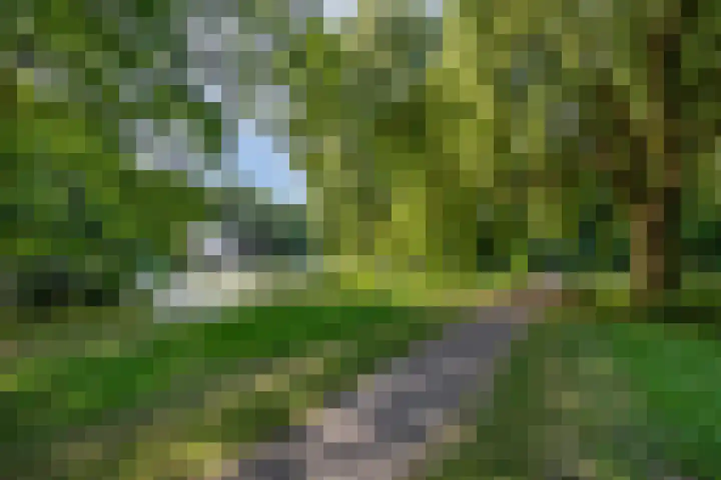 Reddingiusweg 95 Groningen thumbnail 32