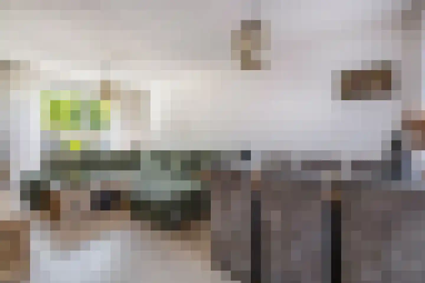 Reddingiusweg 95 Groningen thumbnail 4