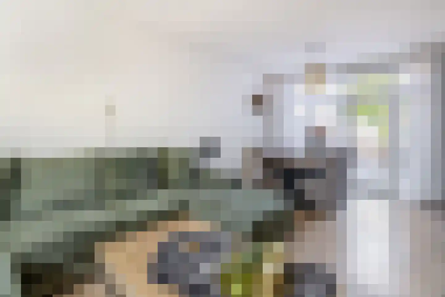 Reddingiusweg 95 Groningen thumbnail 6