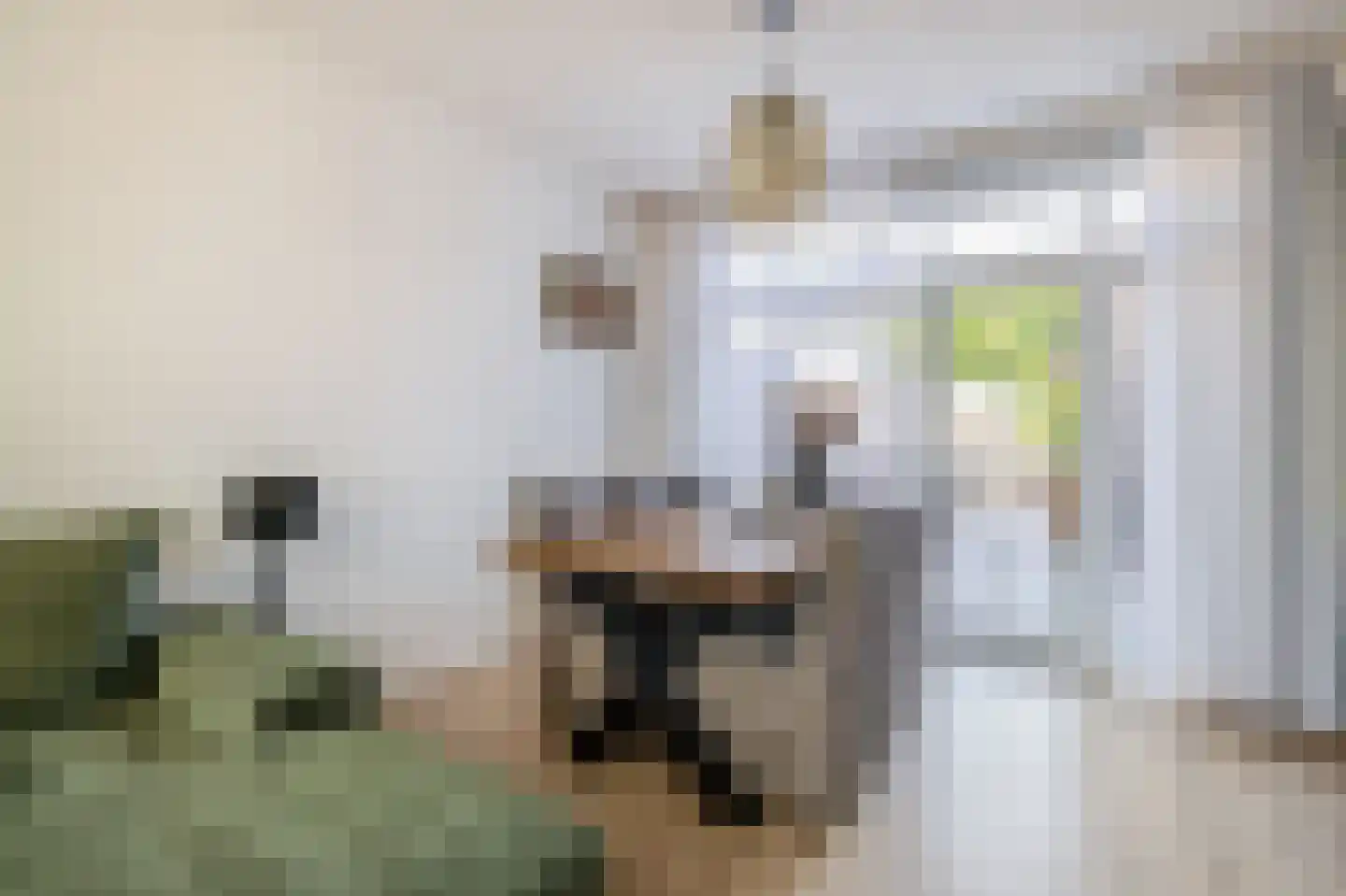 Reddingiusweg 95 Groningen thumbnail 7
