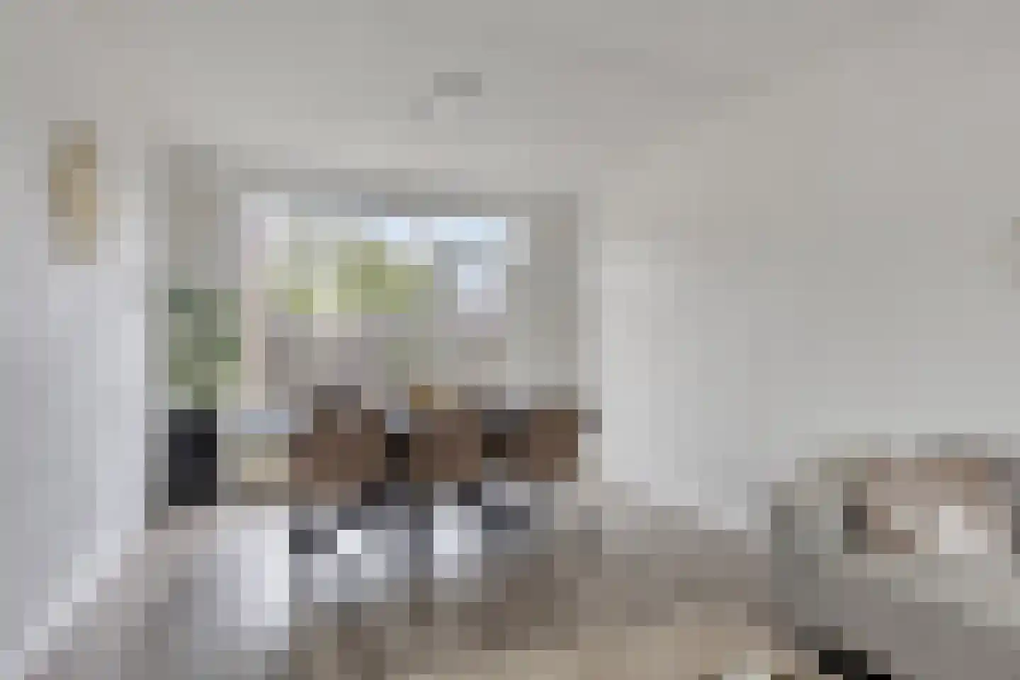 Reddingiusweg 97 Groningen thumbnail 15