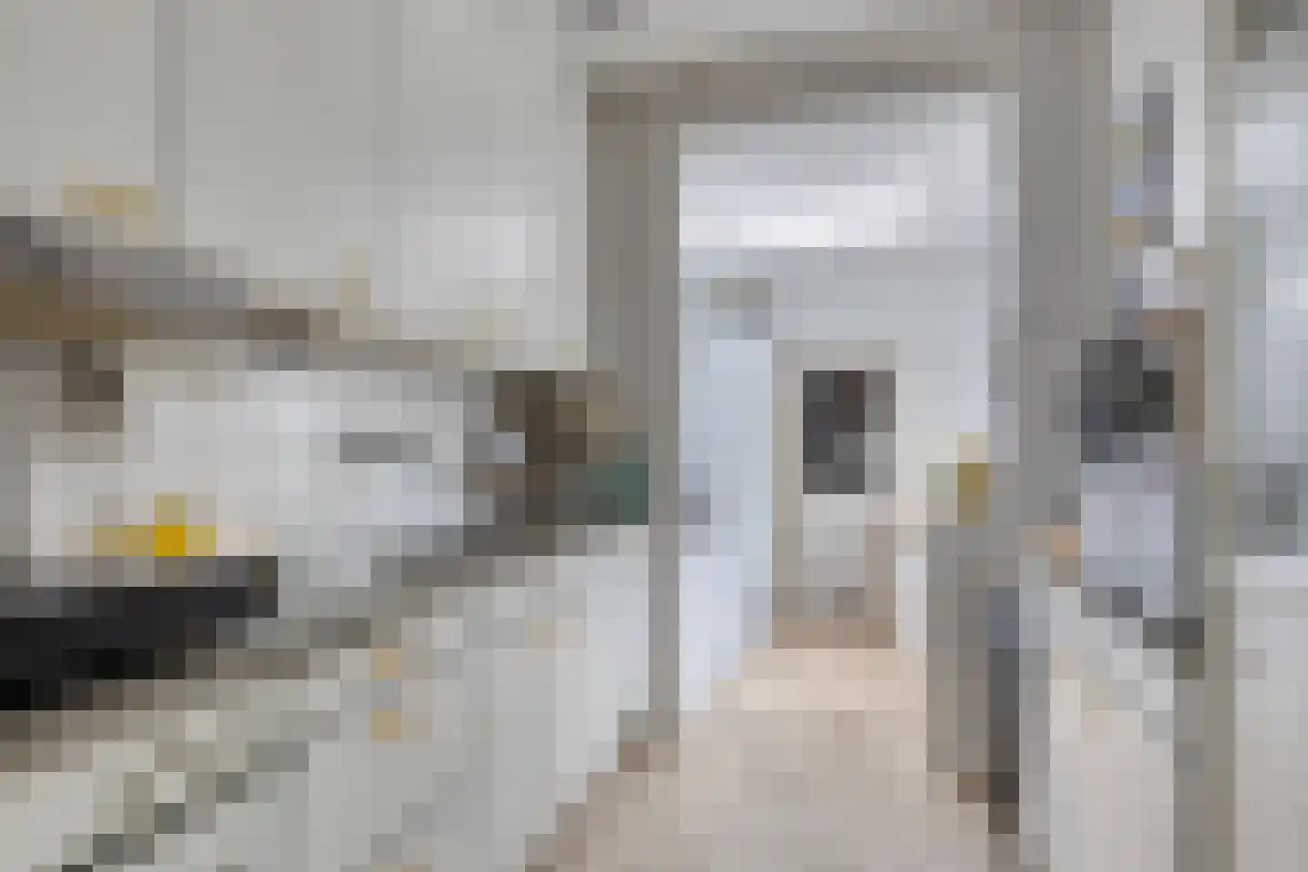 Reddingiusweg 97 Groningen thumbnail 17