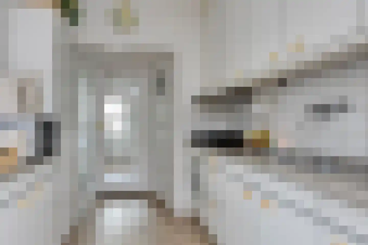 Reddingiusweg 97 Groningen thumbnail 18