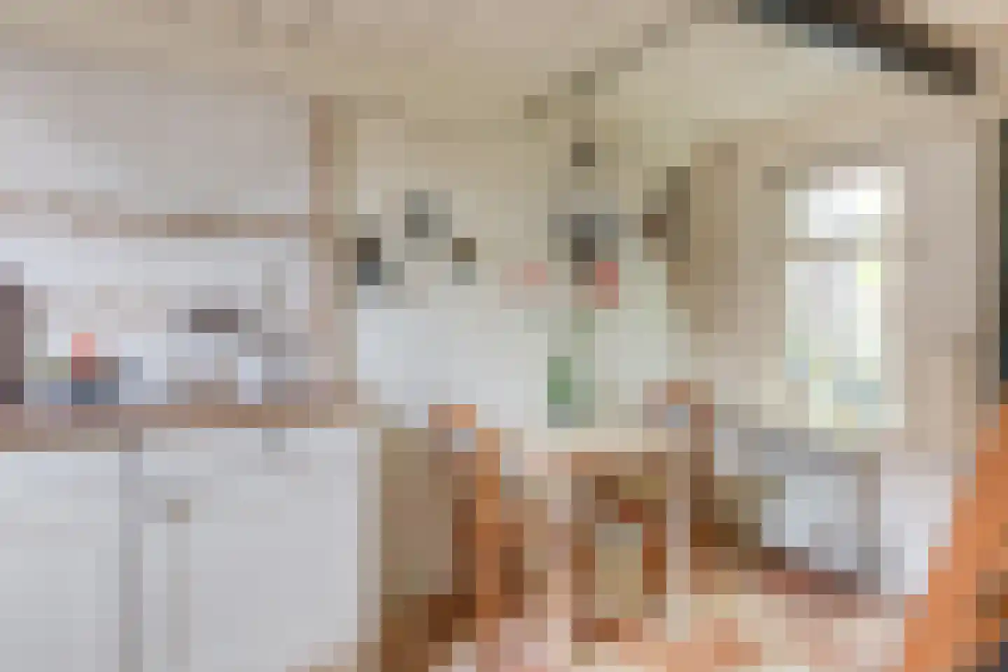 Reddingsboatreed 12 Moddergat thumbnail 10