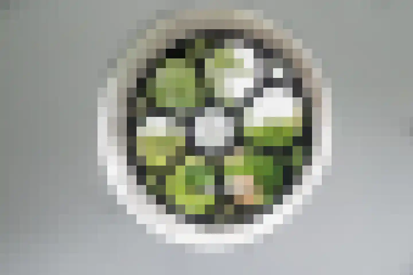 Reddingsboatreed 12 Moddergat thumbnail 24