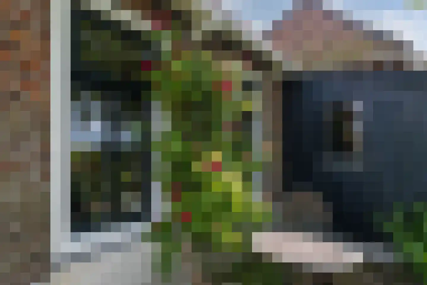 Reddingsboatreed 12 Moddergat thumbnail 30