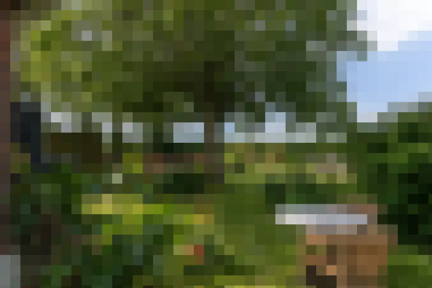 Reddingsboatreed 12 Moddergat thumbnail 31