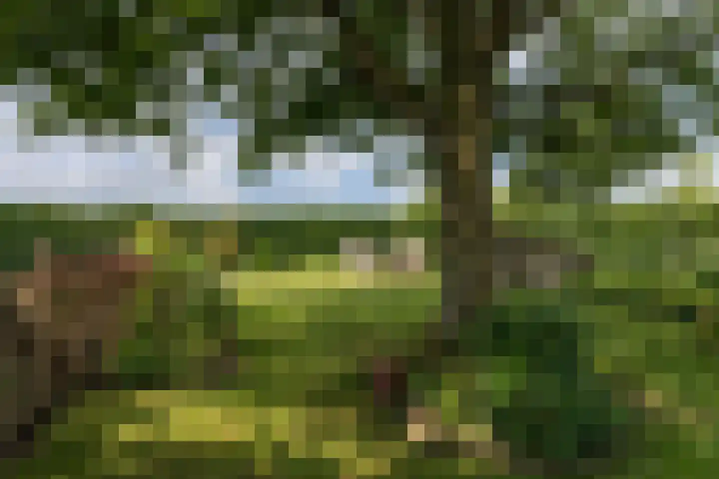 Reddingsboatreed 12 Moddergat thumbnail 32