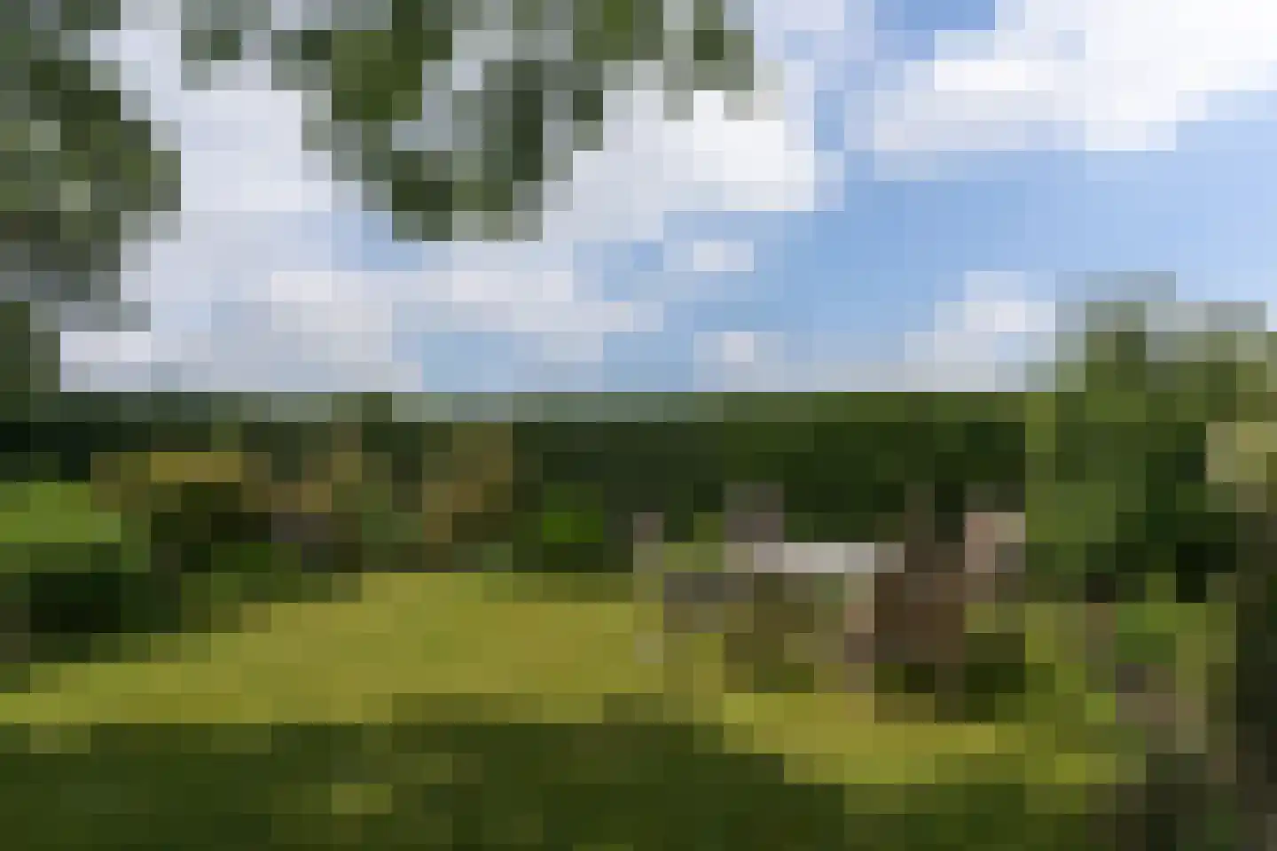 Reddingsboatreed 12 Moddergat thumbnail 33